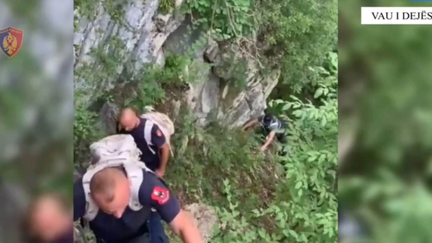 Vau i Dejës/ Asgjësohen mbi 15 mijë fidanë e bimë kanabis