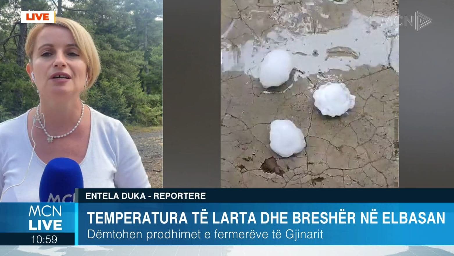 Breshri dëmton prodhimet e fermerëve të Gjinarit, specialistët e bujqësisë në terren  (VIDEO)