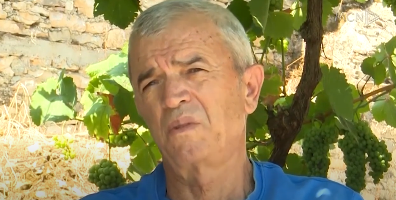 Prej 4 ditësh Dropulli nën flakë, shkrumbohen dhjetëra hektarë tokë (VIDEO)