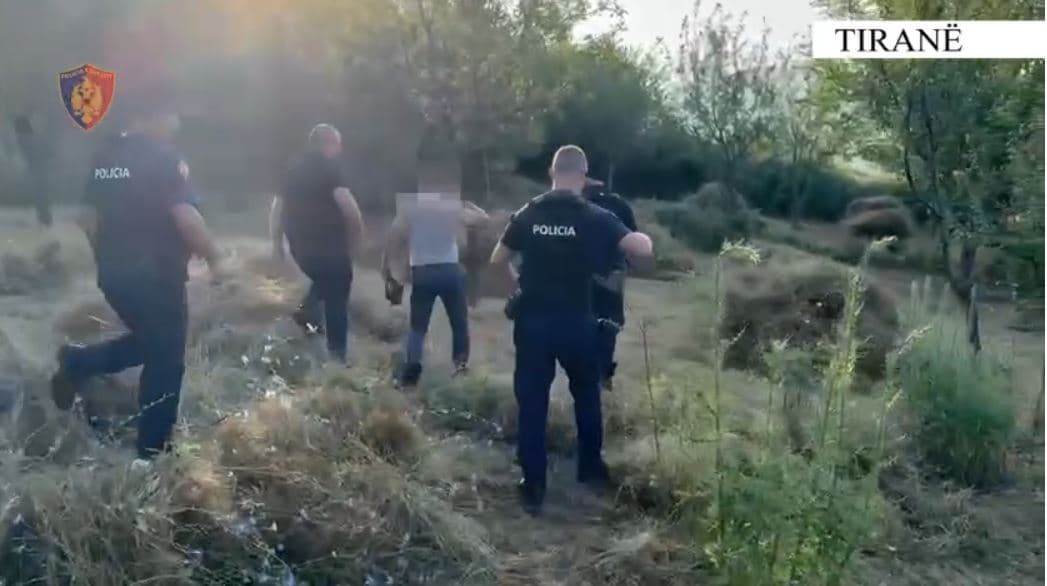Kultivuan kanabis në malësinë e Krujës, 12 në pranga dhe 4 në kërkim