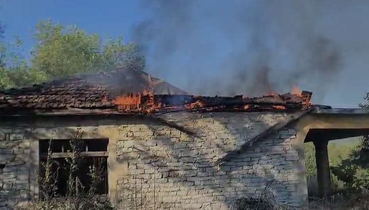 Zjarr në Mirditë/ Digjen dy banesa dhe një sipërfaqe e madhe me vreshtari, 3 zjarrfikëse në terren