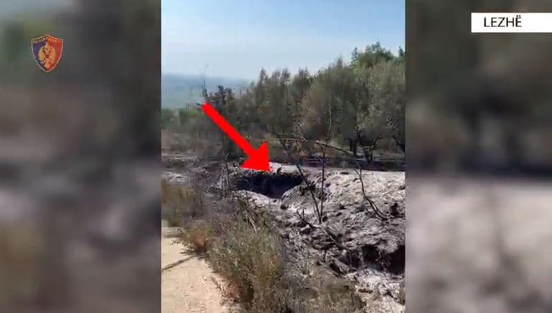 Lezhë/ Ndezi zjarr për mbeturinat por u dogjën sipërfaqe pyjore, arrestohet 33 vjeçari