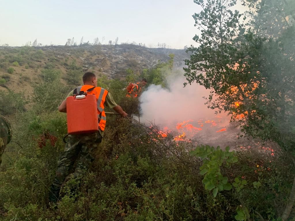 Vihen nën kontroll zjarret në Shkodër, Lezha në luftë me flakët