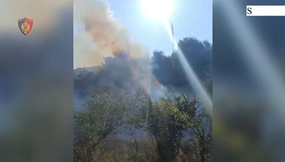 Ndezi zjarr dhe rrezikoi banesat te “Shkëmbi i Kavajës”, vihet në pranga 