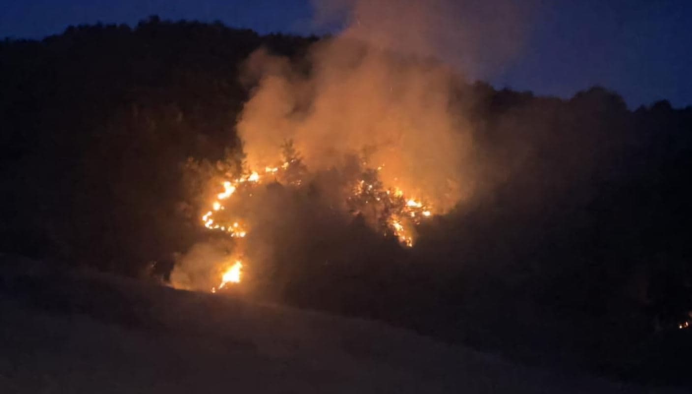 Pogradec, vatër zjarri në fshatin Pleshisht