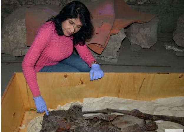 Shkencëtarët zbulojnë detaje të reja rreth jetës dhe vdekjes së mumjes ‘ulëritëse’