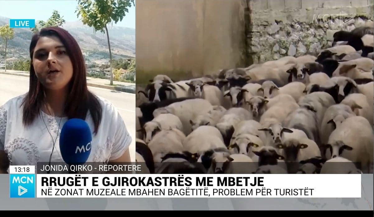 Qirko: Në zonat muzeale në Gjirokastër, bagëtitë shëtisin lirshëm bashkë më turistë. Situatë e ripërsëritur gjatë tërë vitit
