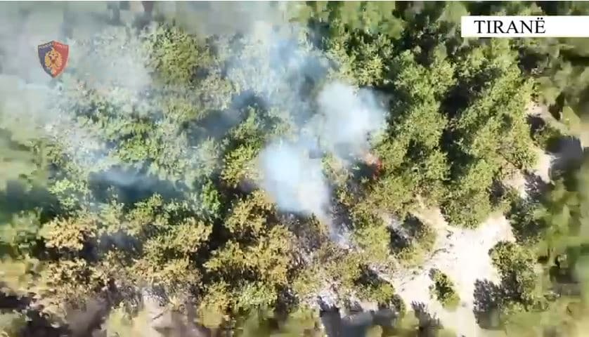 I vuri zjarrin një pjesë të pyllit, arrestohet 28-vjeçari në Zall Bastar