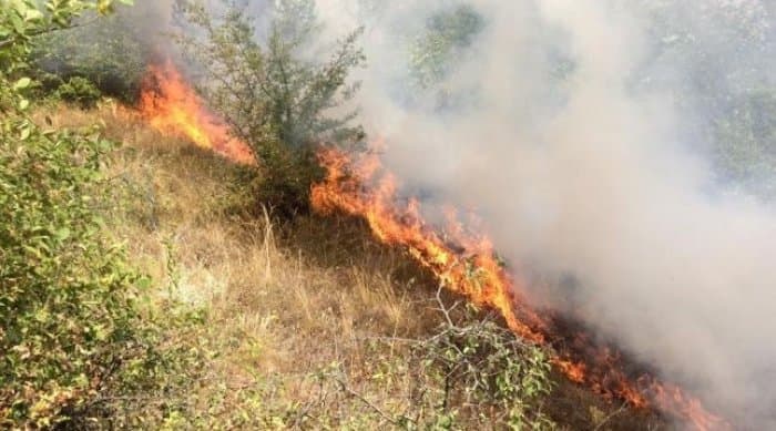I vë zjarrin mbetjeve në tokën e tij, i moshuari në Durrës humb jetën nga asfiksia