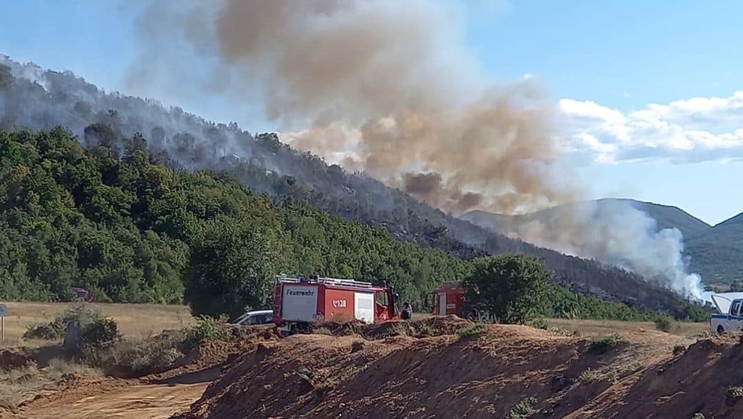 Zjarri depërton në Parkun Kombëtar të Prespës