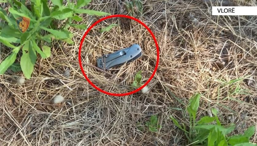 Plagosi me thikë dy persona, arrestohet 19-vjeçari në Vlorë