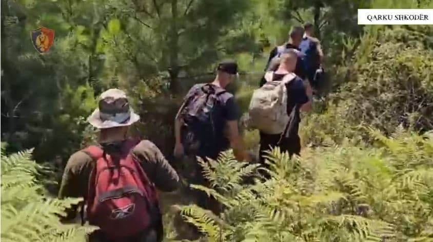     Sekuestrohen mbi 10.5 kg kanabis në qarkun Shkodër/ Arrestohet 24-vjeçari, procedohen penalisht zyrtarë të tjerë