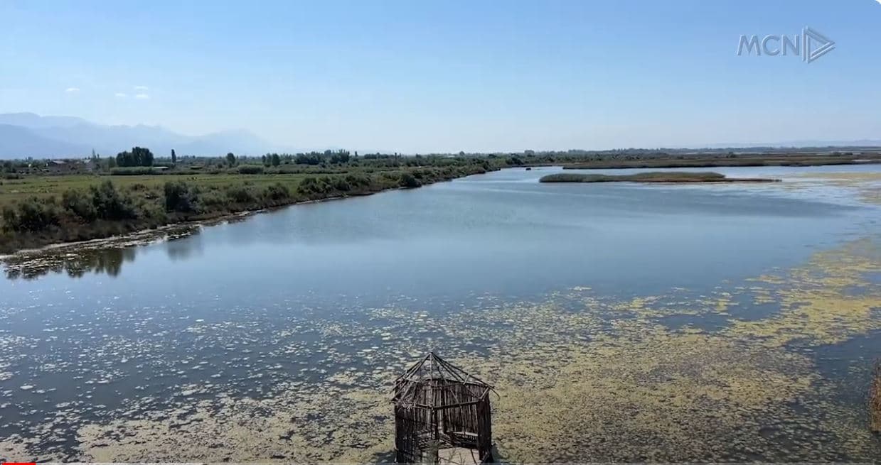 Turizëm në lagunën e Vainit. Vizitorët e zgjedhin për shëtitje, piknik dhe plazh