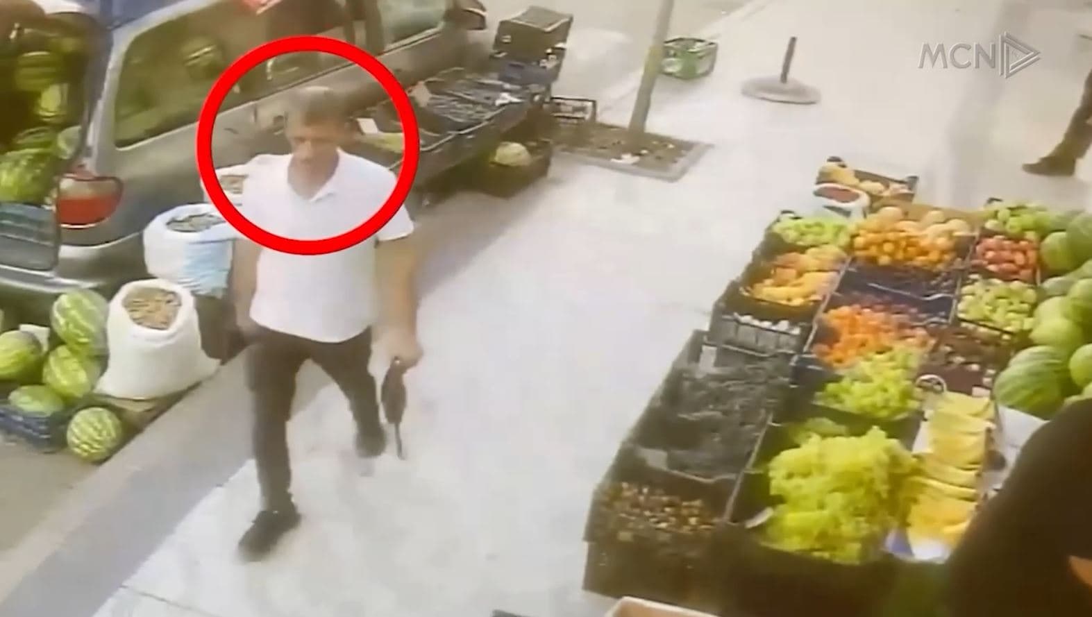 “Institucionet reaguan në kohë”/ Replika mes Ramës e opozitës për ngjarjen në Pogradec (VIDEO)