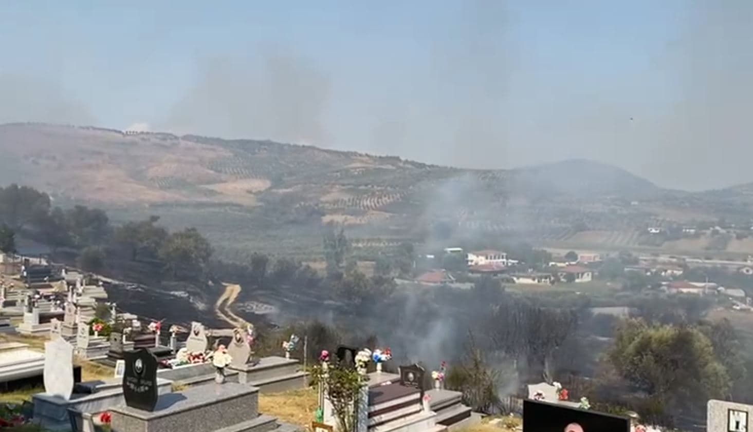 Zjarri djeg ullishtet dhe varrezat e Karbunarës, rrezikohen banesat