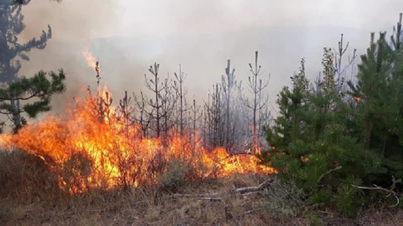 Vazhdon zjarri i përmasave të mëdha në Çrrilë të Mallakastrës