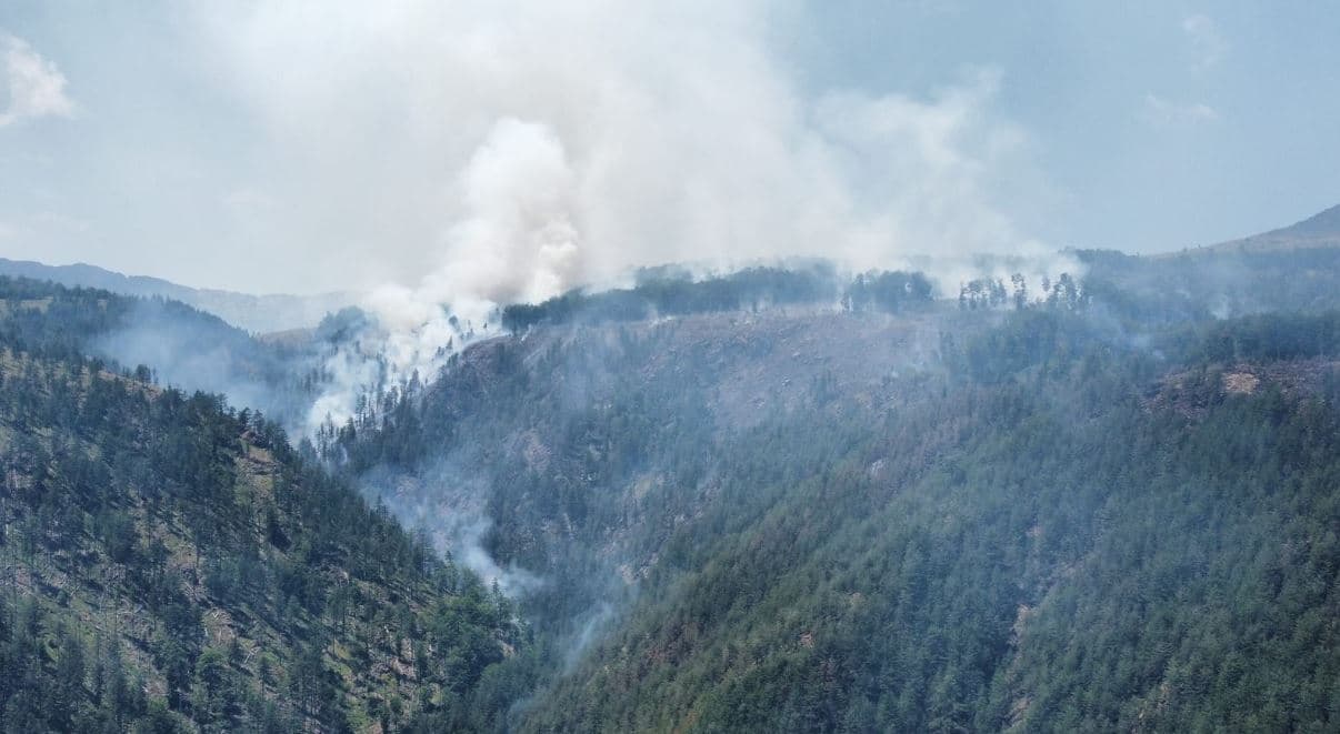 29 vatra zjarri në orët e fundit, situata problematike në malin e Tomorrit, Prespë dhe Bulqizë