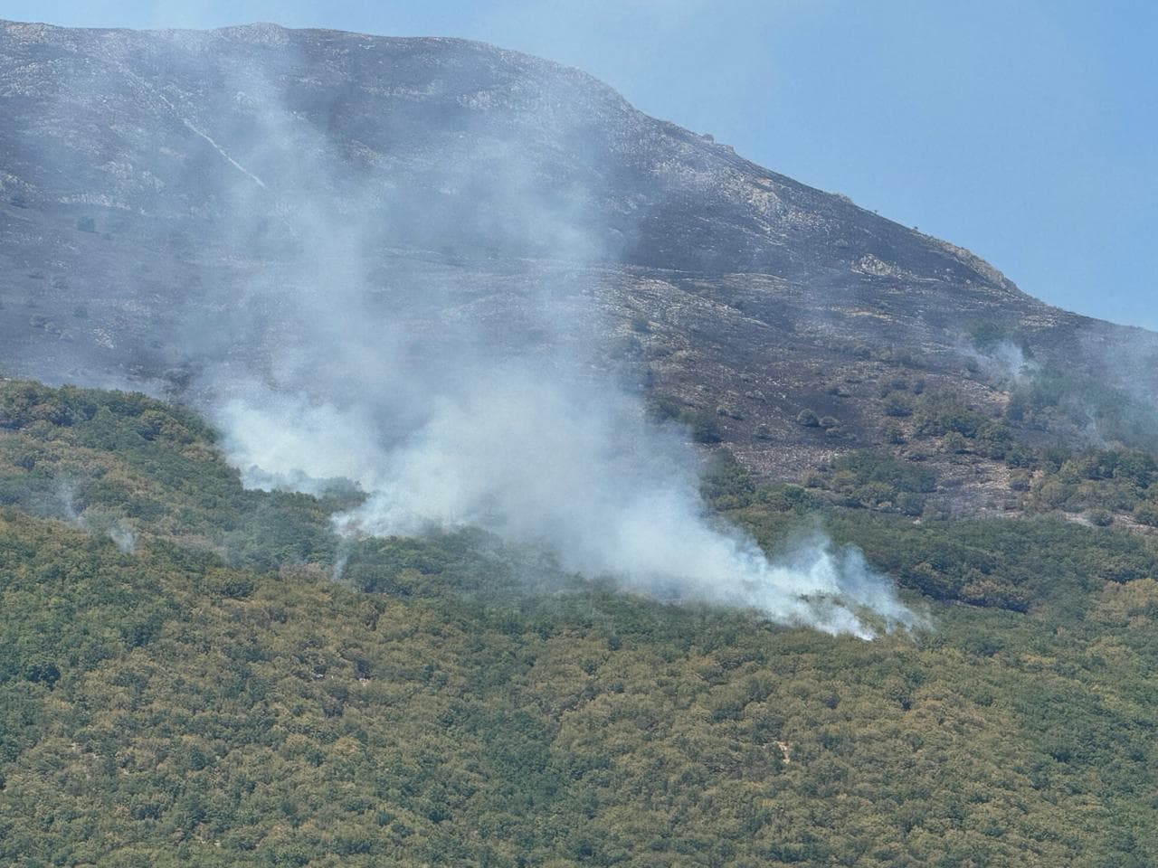 Pogradec, bie intensiteti i zjarrit në Malin e Thatë
