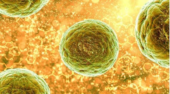 Studimi/ Vitamina D forcon rezistencën imune kundër tumoreve