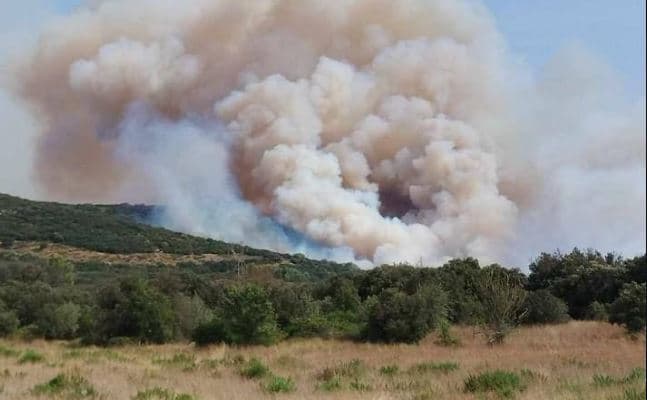  Zjarret djegin mbi 400 hektarë sipërfaqe pyjore në Francë