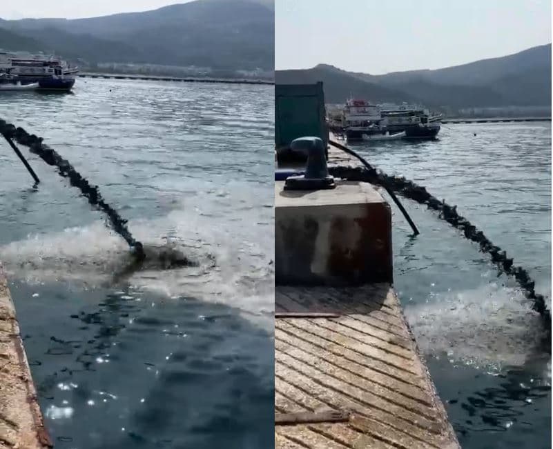 Ndotja e ujit në portin e Vlorës, nën hetim drejtori i kompanisë që kryen punimet