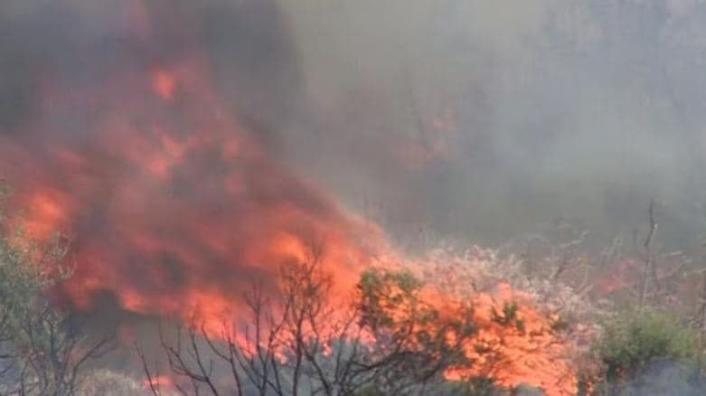 Zjarr në Serbi, humbin jetën 6 persona, mes tyre 4 fëmijë
