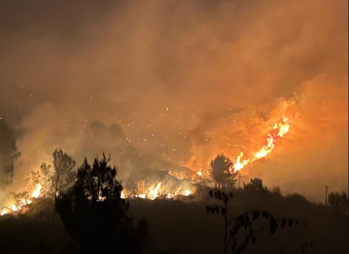 Zjarr masiv në Gjirokastër/ Shkrumbohet kurora e pishave, rrezikohen të imëtat dhe stanet