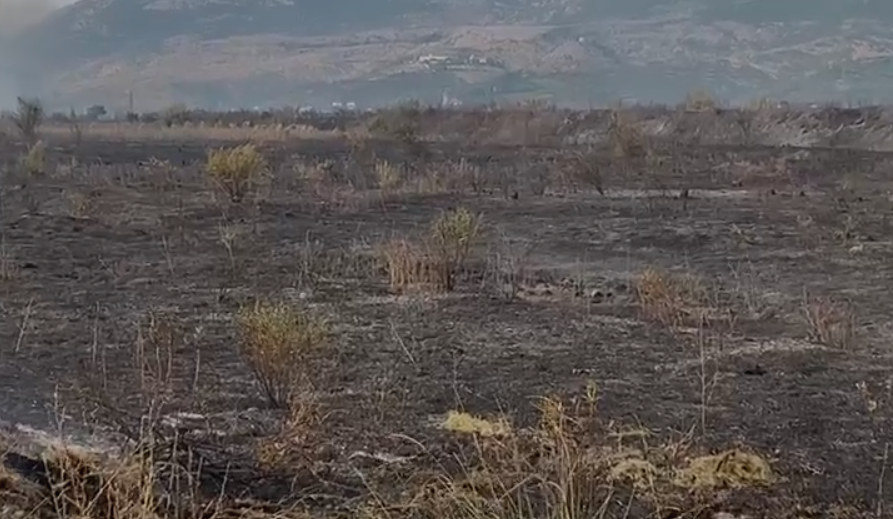 Vihet nën kontroll zjarri në Lezhë, mijëra hektarë të djegura