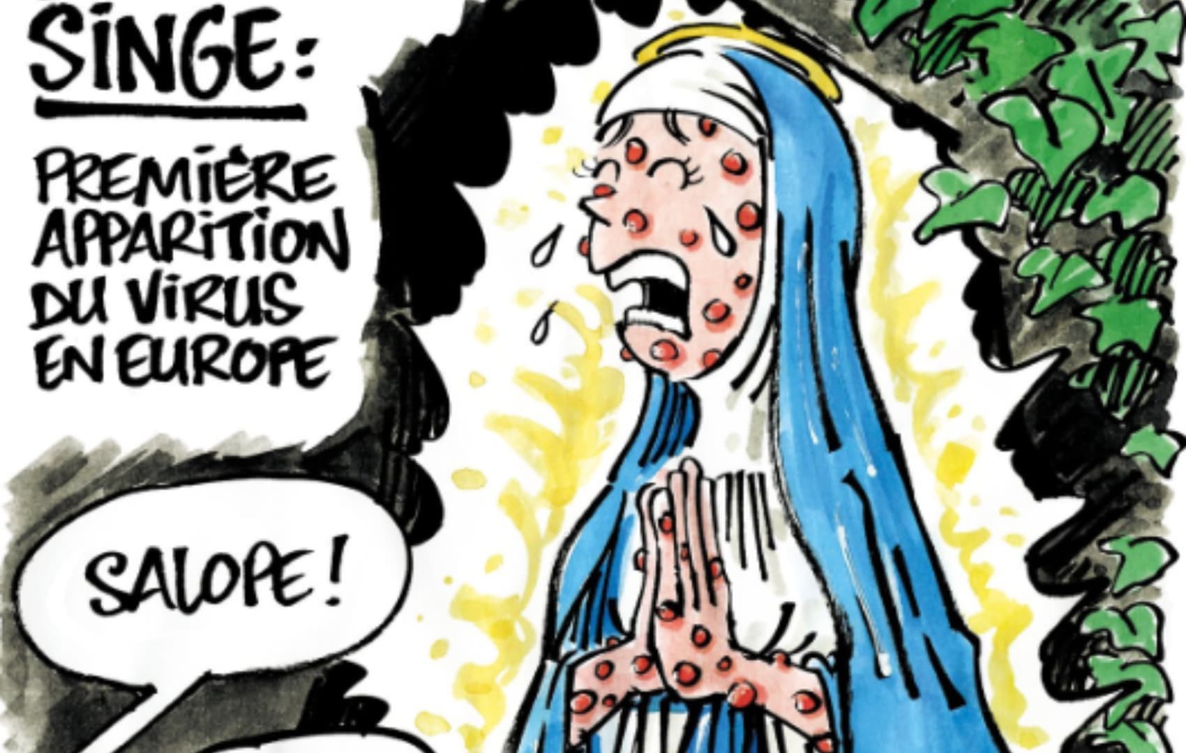 Charlie Hebdo, karikatura denoncohet nga katolikët: Shën Maria me linë e majmunit