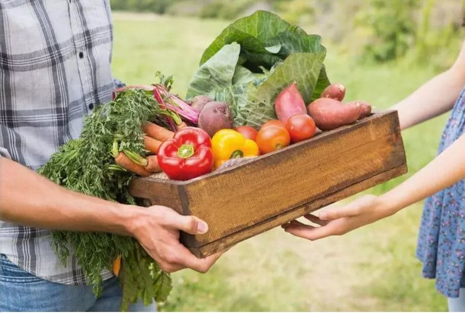 Nga jodi te vitaminat/ Një në dy njerëz në botë merr më pak minkronutrientë se norma