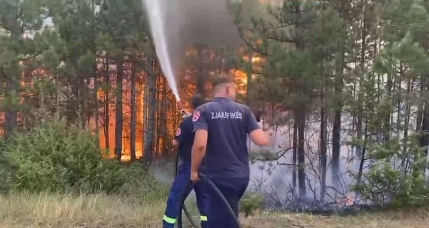 Zjarri në pyjet e Mirditës/ Autoritetet kërkojnë ndërhyrje nga ajri