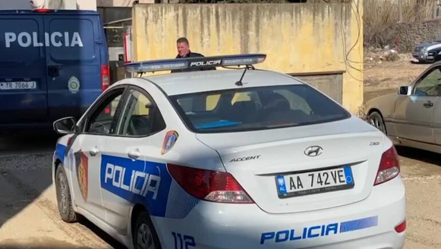 Sherr me thikë e sende të forta, procedohen dy të rinj në Divjakë