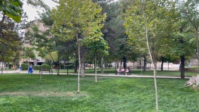 Kreu vepra të turpshme me dy vajza 7 dhe 8 vjeç, lihet në burg 56-vjeçari në Korçë