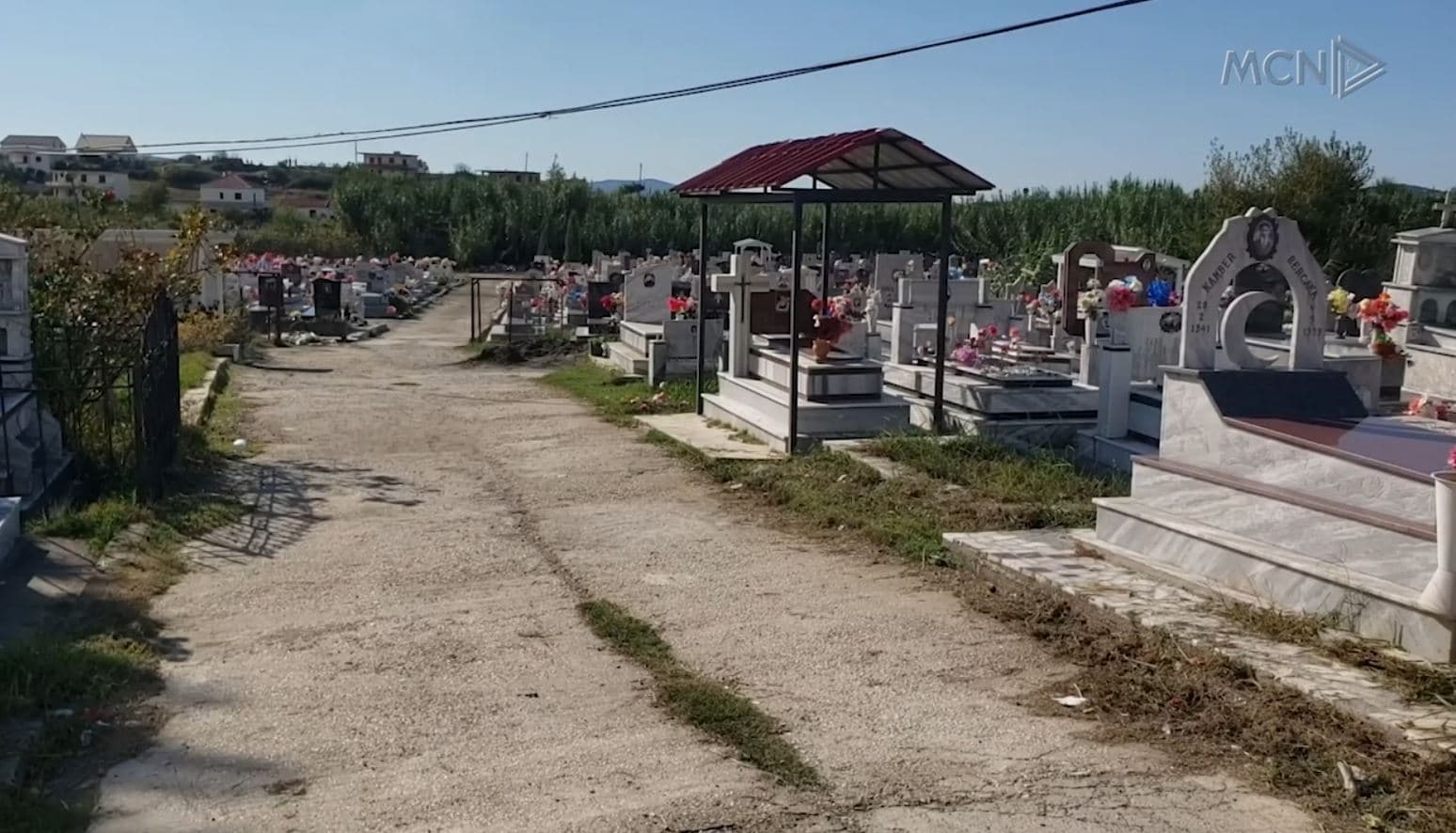 Varre për shitje në Kuçovë/ Qytetari denoncon rastin, policia nis hetimet (VIDEO)