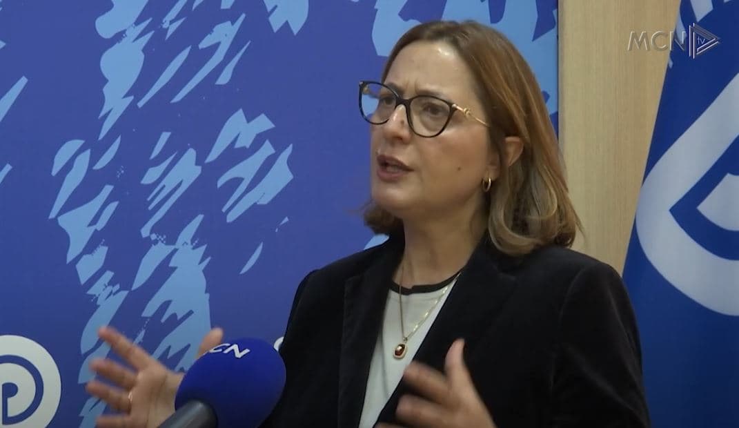 “Qeveri teknike për të shpëtuar zgjedhjet”/ Çupi: Të ngrihet 100 ditë para, Shehi: Utopi, nuk funksionon