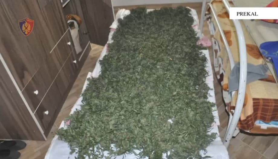 Kanabis dhe armë, arrestohet një person në Shkodër