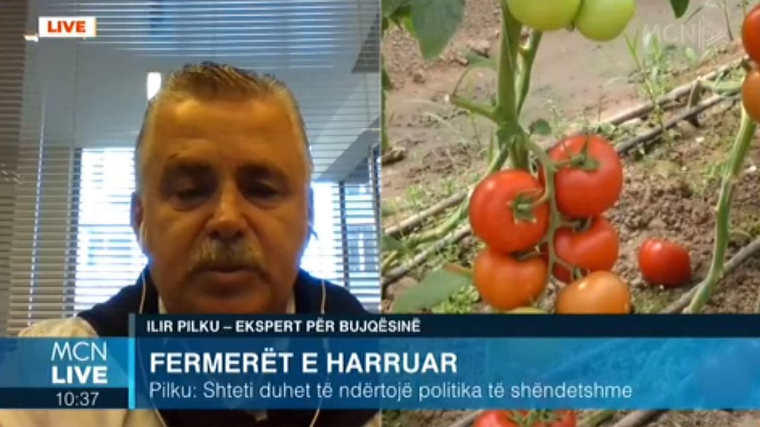 Pilku: Duhet bashkim i fermerëve. Shteti të vendosë sigurimin në bujqësi për të ndihmuar humbjet (VIDEO)