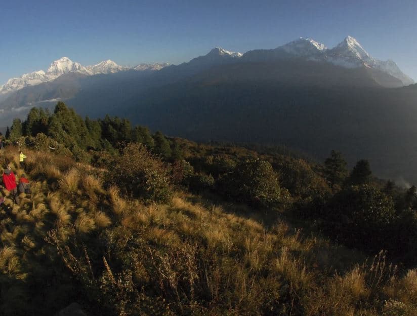 Nepal/ Bien nga maja e shtatë më e lartë në botë, humbin jetën pesë alpinistë