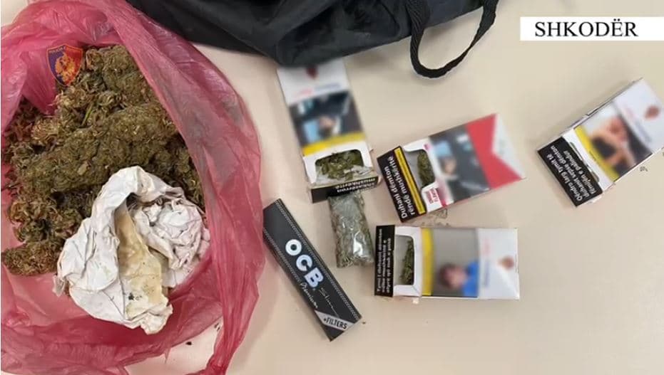Goditet grupi i kultivimit dhe shpërndarjes së kanabisit në Shkodër, 4 të arrestuar 