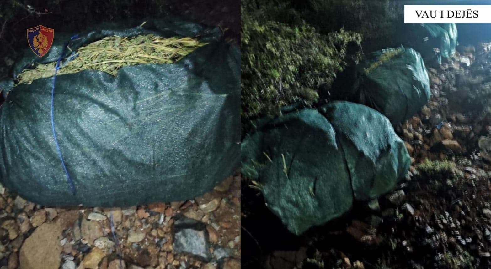 Asgjësohen 120 kg kanabis në Vaun e Dejës