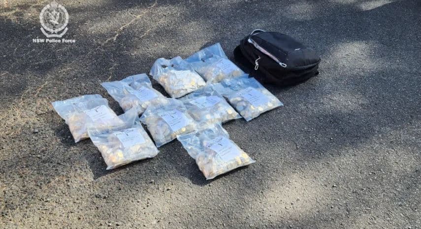 Australi/ Policia zbulon më shumë se 40 mijë monedha të vjedhura Bluey