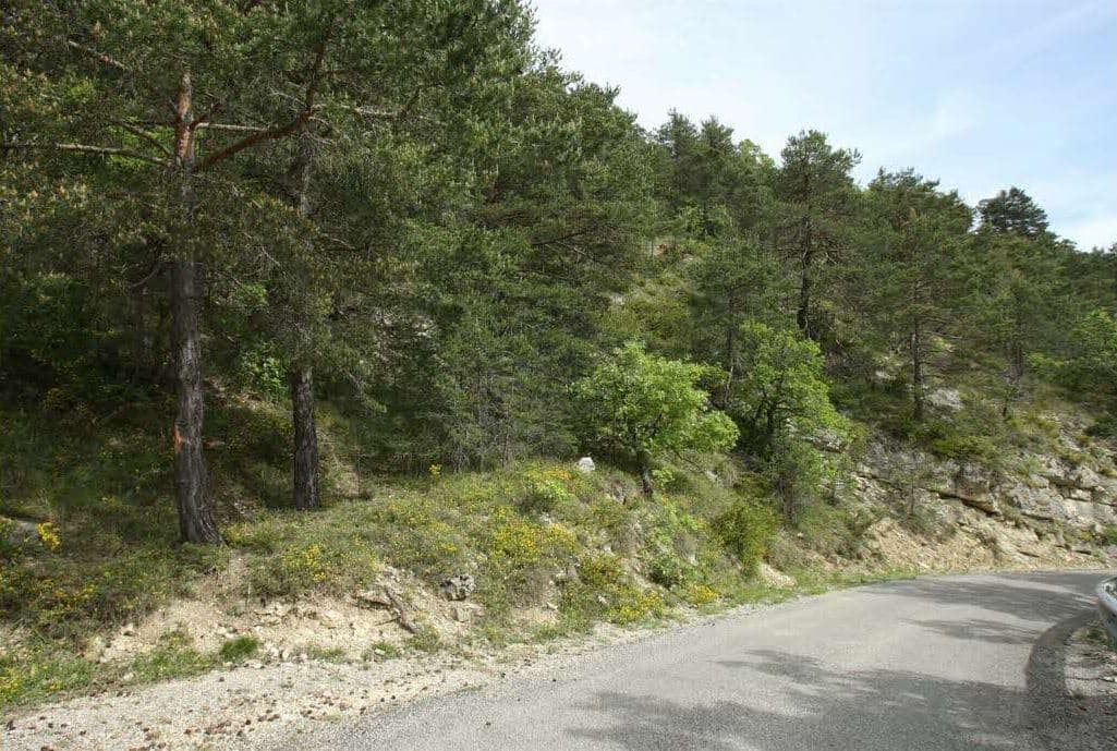 Korçë, gjendet i varur një person