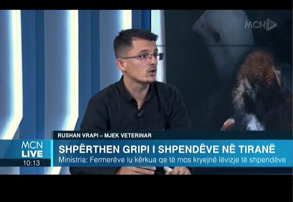      Gripi i pulave/ Vrapi: Vatër e izoluar, nuk ka vend për panik. Duhen monitoruar shpendët e egra migratorë, mund të jenë burim infeksioni (VIDEO)