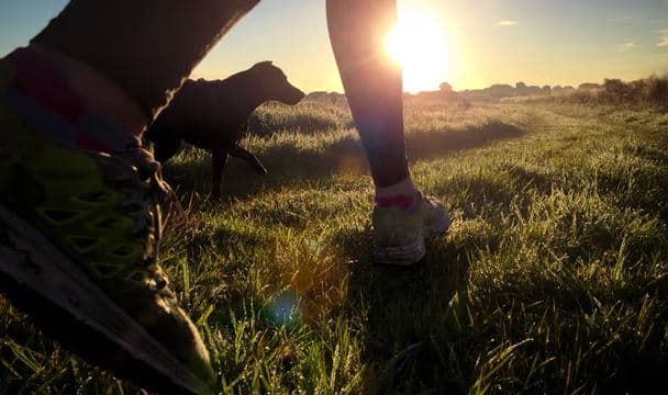 Aktiviteti fizik në mëngjes dhe mbrëmje 'ulë rrezikun e kancerit të zorrëve me 11%'