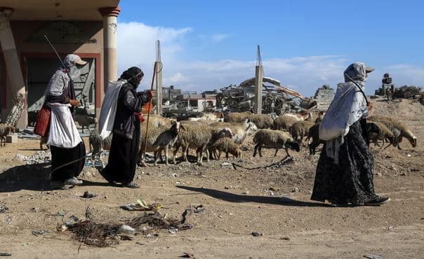 ‘Uria shumë afër” OKB: 70% të tokës bujqësore në Gaza është shkatërruar