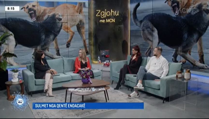 Qentë endacakë/ Mebelli: Një qen i tërbuar shkakton vdekje nëse kafshon, gjëja e parë që duhet të bërë është mjekimi