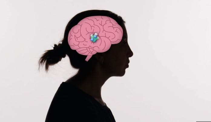 Yndyra në bark lidhet me shenjat e Alzheimerit 20 vjet para fillimit të simptomave