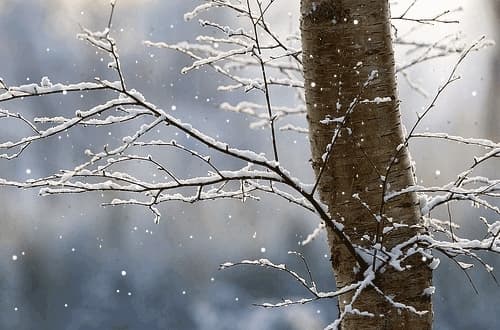 Temperaturat zbresin deri në -7 gradë celsius, parashikimi i motit sot