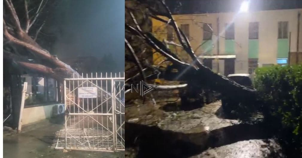 Moti i keq/ Rrëzohen dy pemë në oborrin e spitalit të Lezhës, dëmtohen disa makina dhe një dyqan