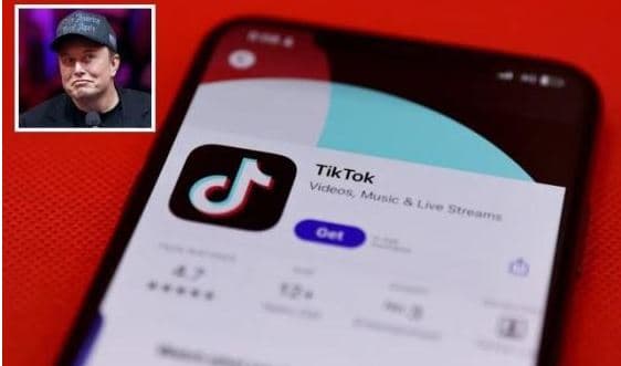 Elon Musk gati të blejë TikTok, ideja kineze për të shmangur ndalimin në Shtetet e Bashkuara